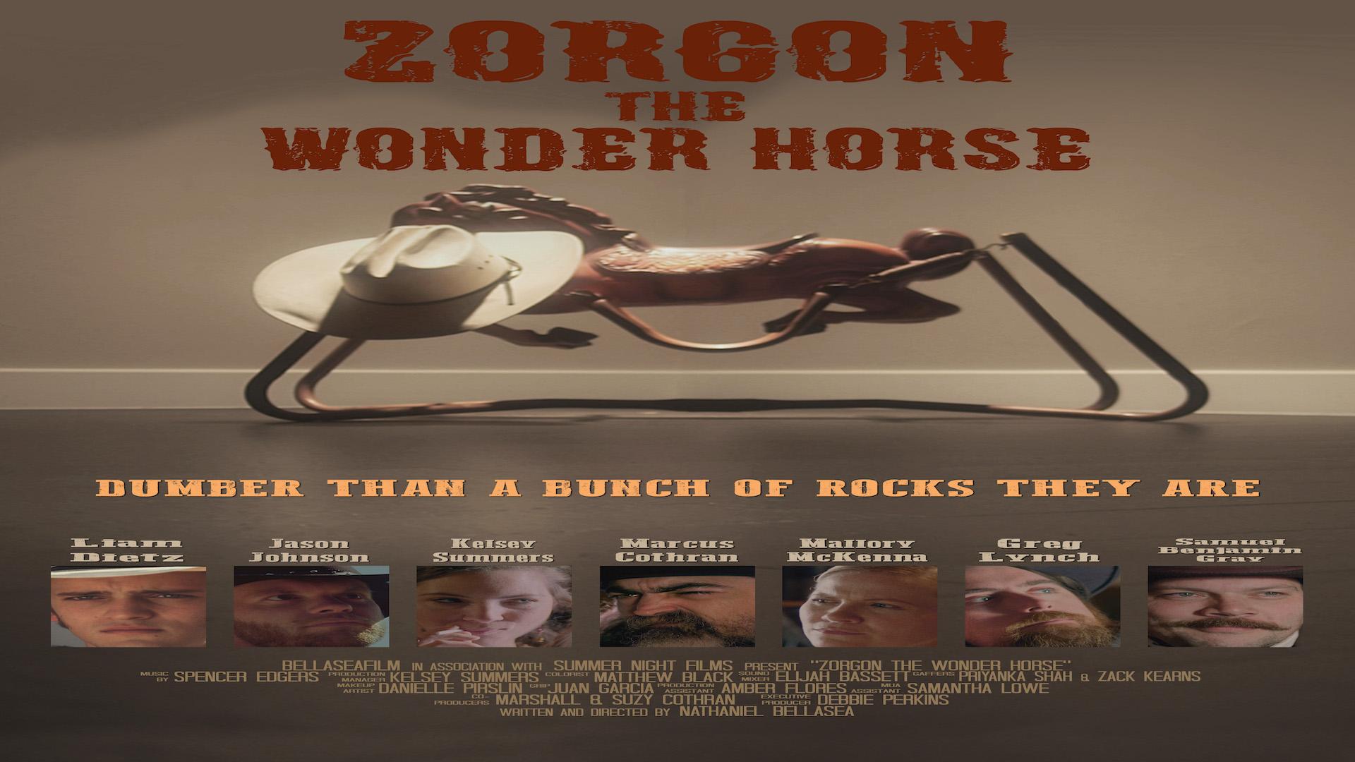 Zorgon The Wonder Horse