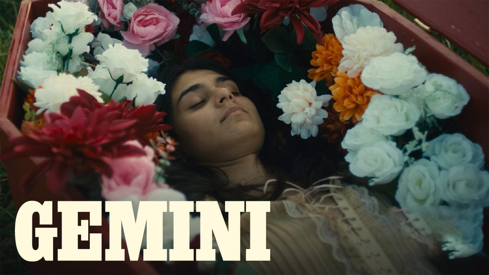Gemini Gemini